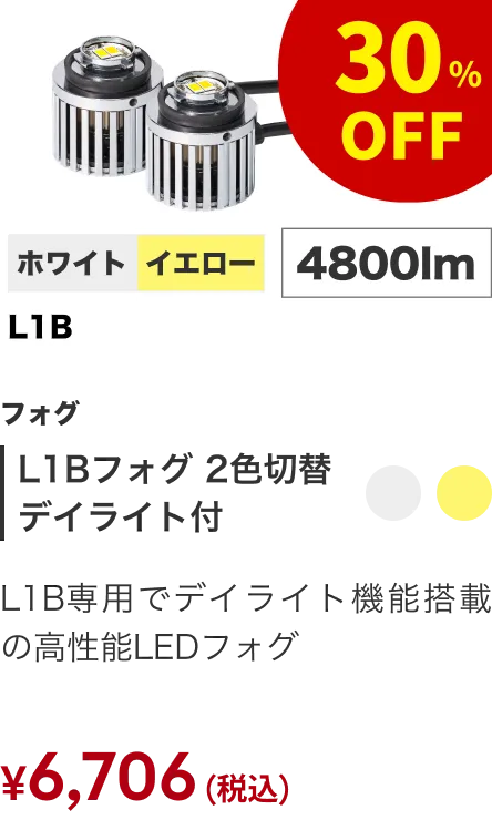 L1Bフォグ デイライト