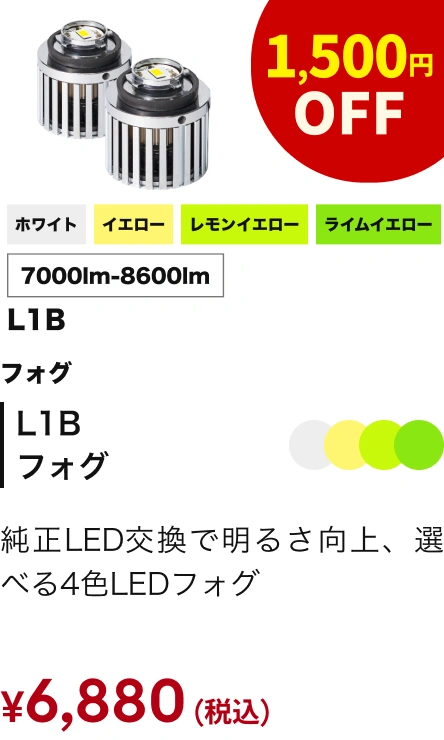 L1B フォグ