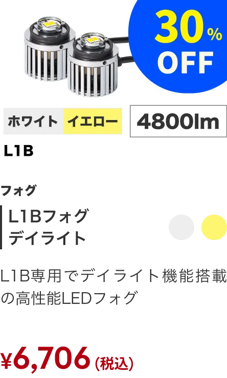 L1Bフォグ デイライト