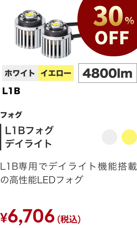 L1Bフォグ デイライト