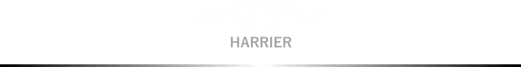 HARRIER