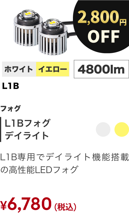L1Bフォグ デイライト
