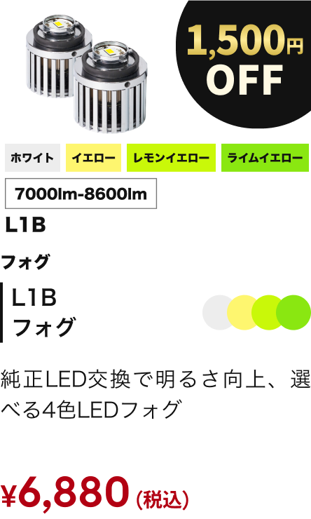 L1B フォグ