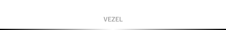 VEZEL