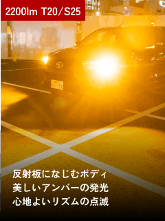2200lm T20/S25