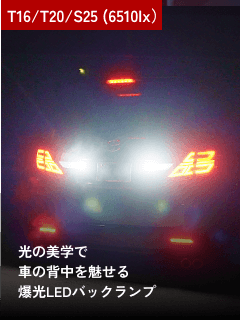 T16/T20/S25(6510lx)