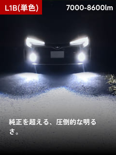 L1B(単色)