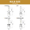 BULB SIZEの画像