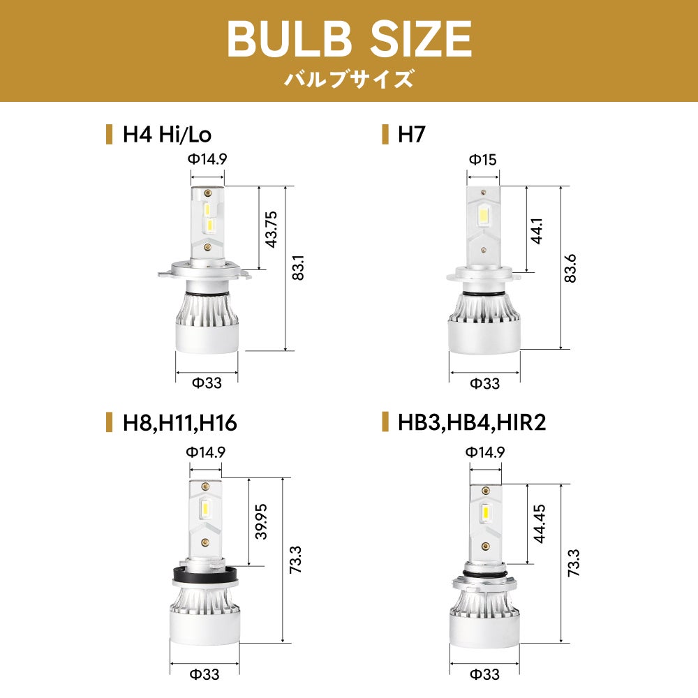 BULB SIZEの画像