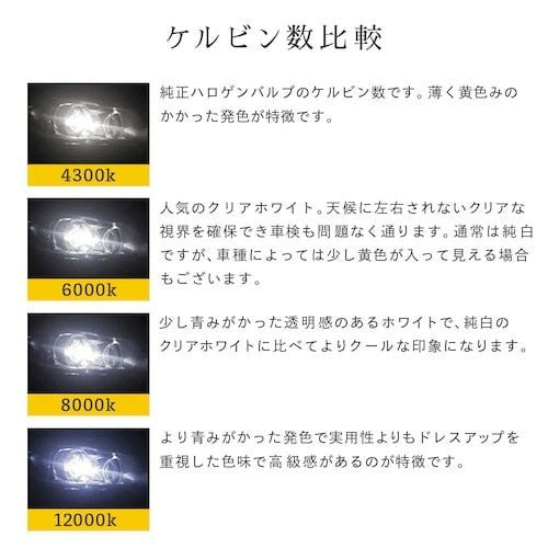 000000000019-10.jpg?size=l&w=