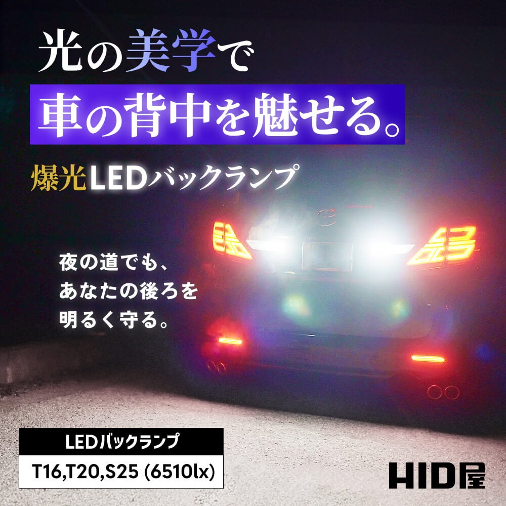 LED バックランプ 6510lx 6500K ホワイト