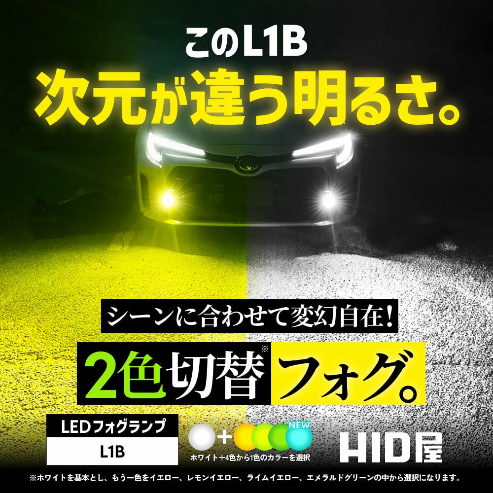 LED フォグランプ 3700lm-6000lm 6500K 3000K L1B 2色切替 車検対応 2
