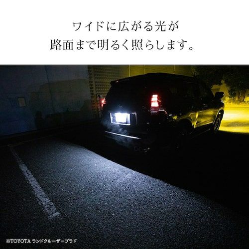 LED ルームランプ ナンバー灯 2400lx 6500K T10 31-32mm 36-37mm 39