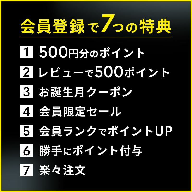 HIDキット 輸入車用 35W スタンダードタイプ H4Hi/Lo リレー付