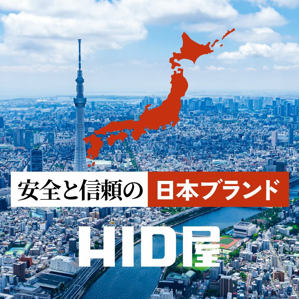55W H4Hi/Lo HIDバルブ スタンダード シェード特殊加工 ケルビン数