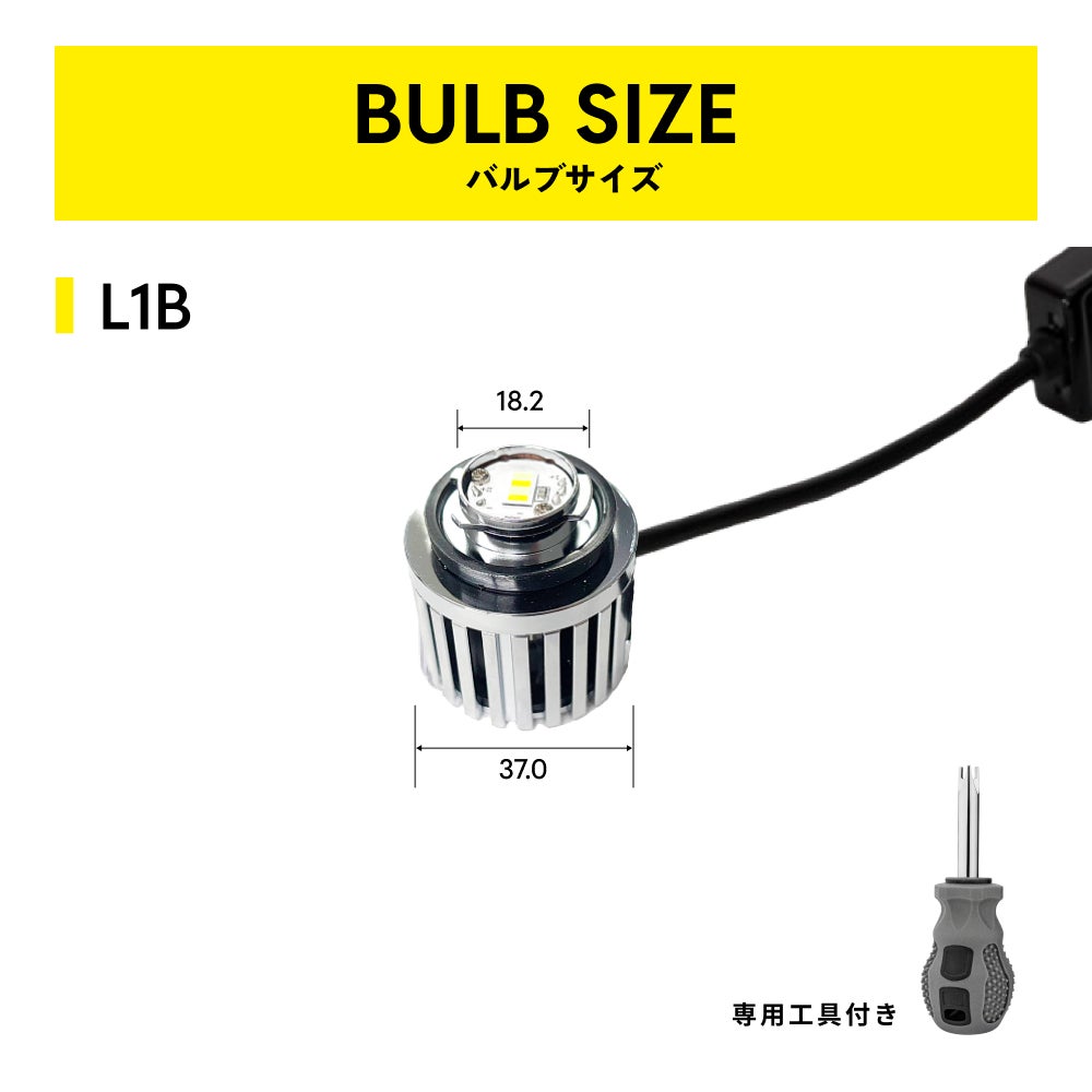 BULB SIZEの画像